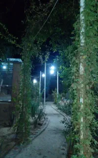 مجموعه تفریحی رفاهی جهت مراسم تولد و دورهمی