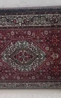 پشتی ریز ماهی