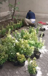 خدمات باغبانی حرسکار گلهای آپارتمانی خاک گلدان