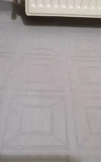 موکت نوی نو