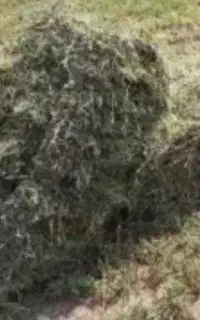 پرس بزرگ ۴۰۰
