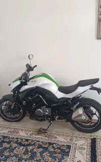 z1000 خشک