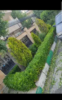 خدمات باغبانی وباغچه کاری هرس کودهی بیل زدن باغچه