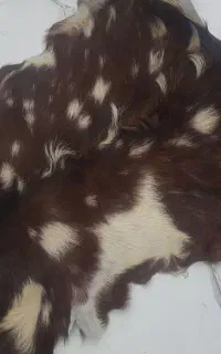 پادری خز پلنگی سالم و نو