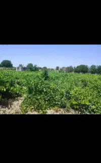 دنبال کار هستم هرچی باشه انجام میدم