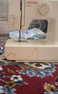 چرخ ژانومه