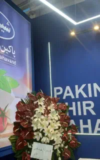 نیرو ساده آقا