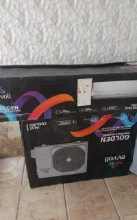 کارتن