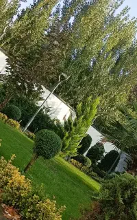 طراحی اجرا فضای سبز .گیرین وال اب نما حوض