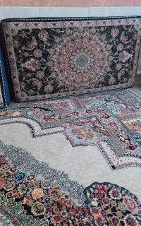 ۵جفت پشتی