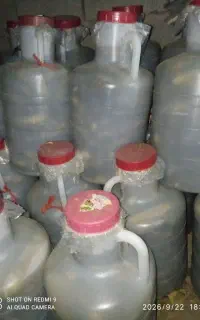 بهترین خیارشور.ویژه سوپرویژه.نول وممتاز