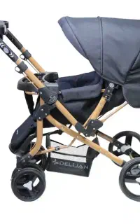 کالسکه دلیجان