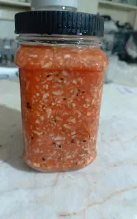 ترشی لیته