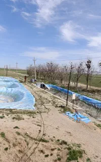 ساخت استخر کشاورزی،ماهی با ورق ژئو ممبران