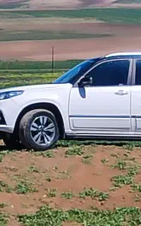 x33s مدل 1396 بیرنگ