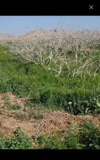 راننده پایه یک جاده ومعدن هستم همراه با مدارک کامل