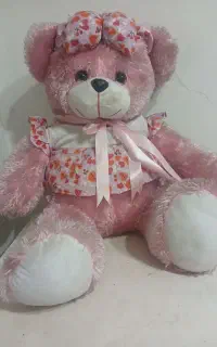 شاسخین( خرس بزرگ)