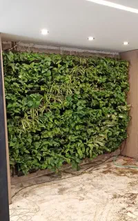 طراحی و اجرای فضای سبز/ روف‌گاردن/ دیوار سبز