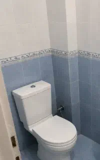 توالت فرنگی