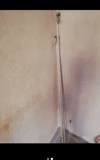 نیون نئون
