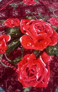 پتودونفره