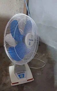 پنکه نونو