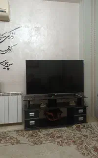 زیر تلویزیونی