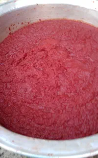 رب خانگی تازه
