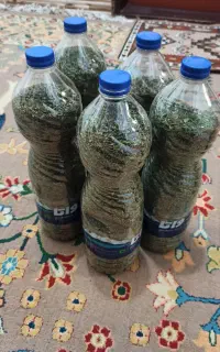 نعناع فلفلی خشک شده کاملا ارگانیک