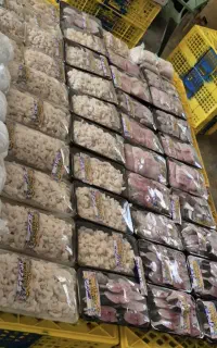 ماهی و میگو دختر ناخدا