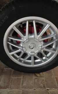 رینگ لاستیک خرچنگی