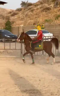 اسب