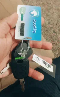 حواله ۲۰۷ پانا رینگ آلمینیومی با موتور TU5p