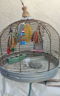قفس قناری عروس طرقه