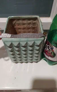 گلدان