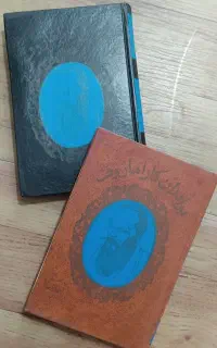مجموعه ۲جلدی برادران کارامازوف
