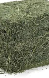 فروش یونجه چین دوم. ۳ تن بسته بندی و خشک