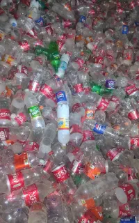 یک ونیمی سالم