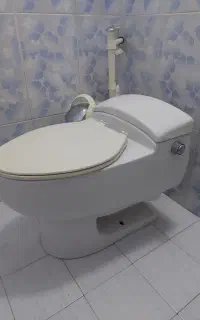 توالت فرنگی