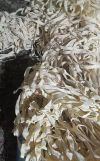 نوار یک سانتی کنفی