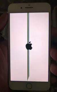 Iphone 7 plus