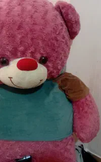 عروسک خرس به طول ۱۲۰سالم