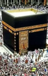 دو عدد فیش حج تمتع آذر ۸۶