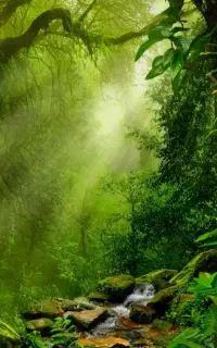 استخر آماده اینتکس