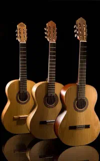 انواع گیتار اموزشی تا حرفه ایی