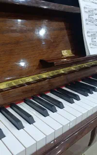 آموزش پیانو و فلوت