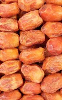 فروش خرما به صورت عمده