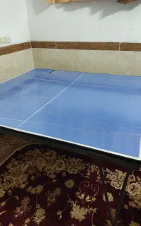 میز پینگ‌ پنگ