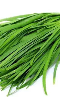 تره باغی نازک