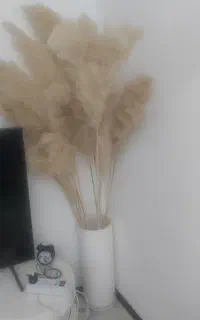 گلدان و گل پامپاس